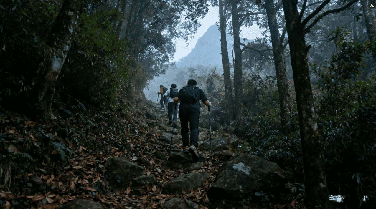 苹果手机使用袋鼠加速器的常见问题解决方案